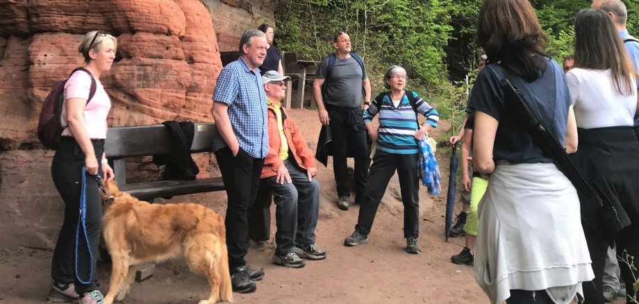 Am Bruderfelsen auf dem Rodalber Felsenwanderweg