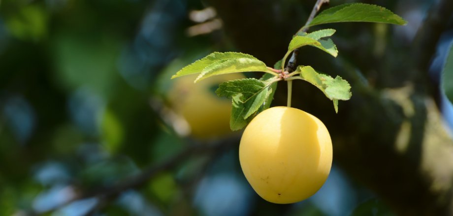 Design ohne Titel - 1 Design ohne Titel - 1