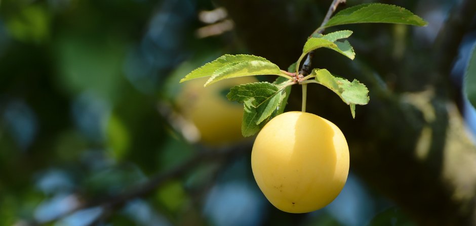 Design ohne Titel - 1