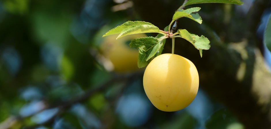 Design ohne Titel - 1