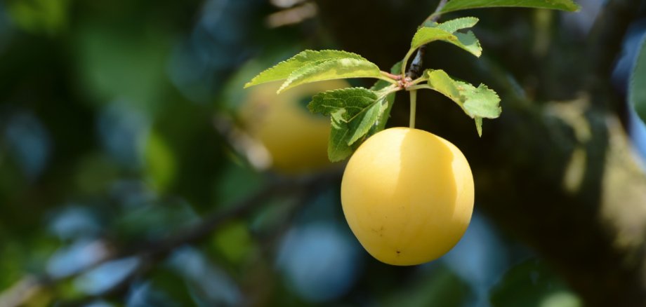 Design ohne Titel - 1 Design ohne Titel - 1