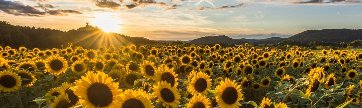 Startseite | Landkreis Südwestpfalz