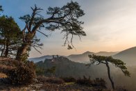 Die Dahner Burgen Die Dahner Burgen