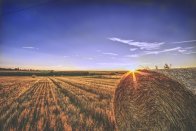 Heuballen Sickinger Höhe Heuballen Sickinger Höhe