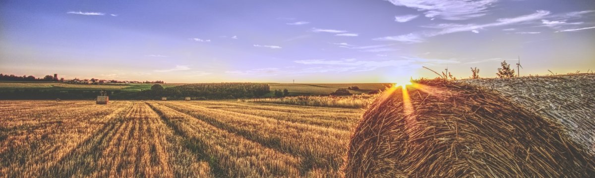 Heuballen Sickinger Höhe