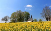 Kapelle Kapelle