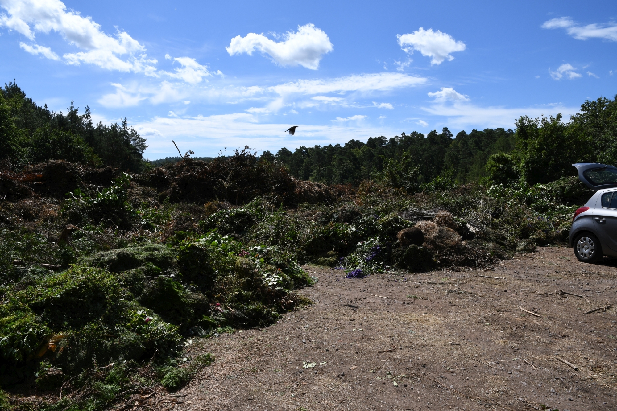 Grünschnitt auf dem Recyclinghof