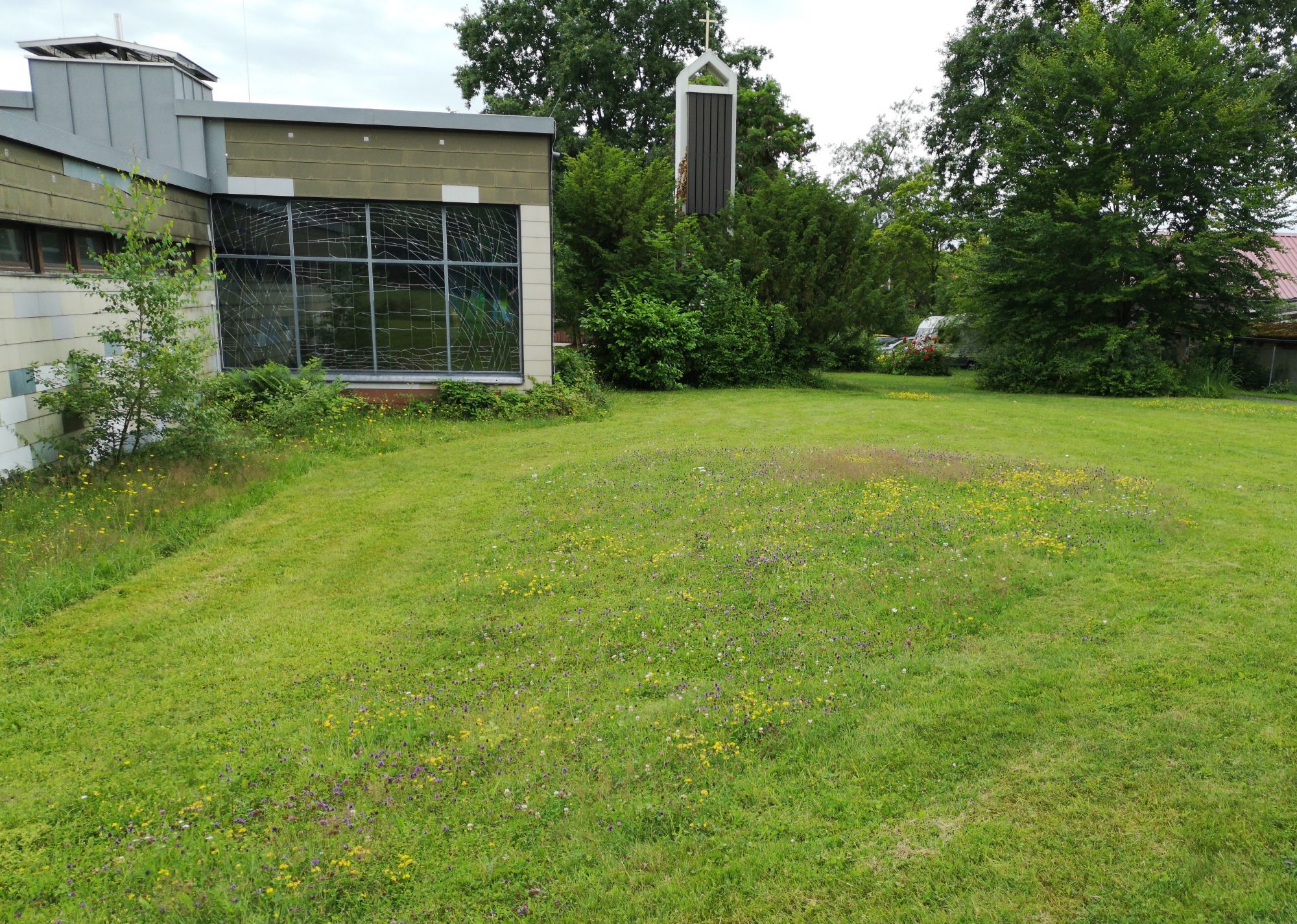 Naturnahe Grünanlage