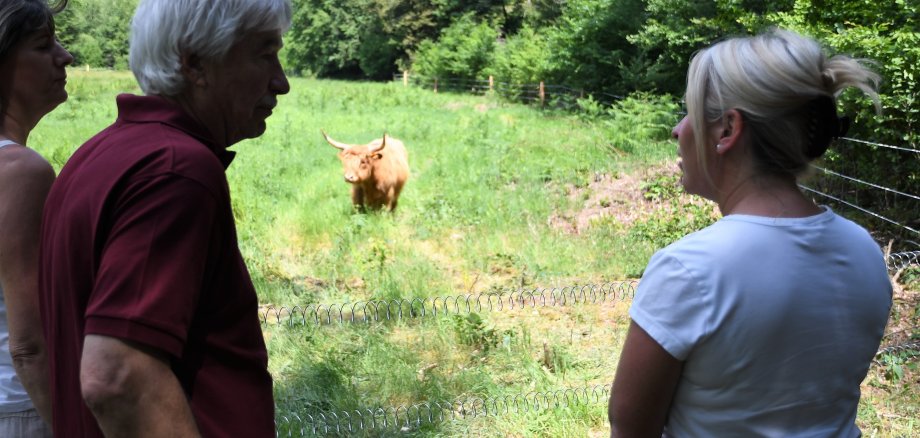 Offenhaltungsmaßnahme Schwarzbachtal mit den Rinderbaronen Leimen