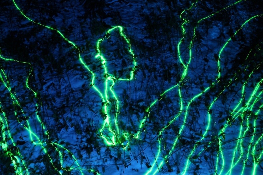 18 11 342 Klaus Maßem.jpg