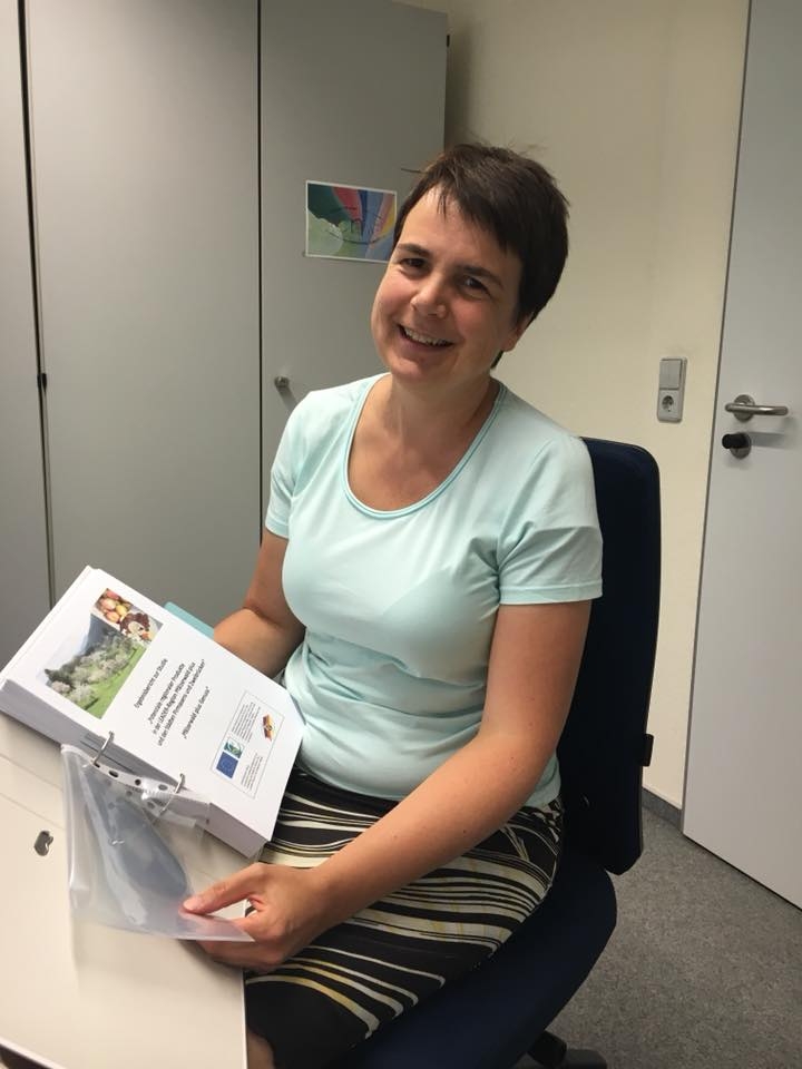 Präsentation der Potenzialstudie