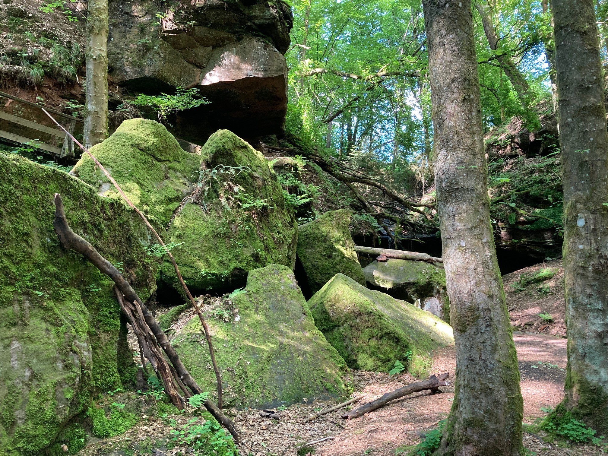 Wasserschaupfad Herschberg