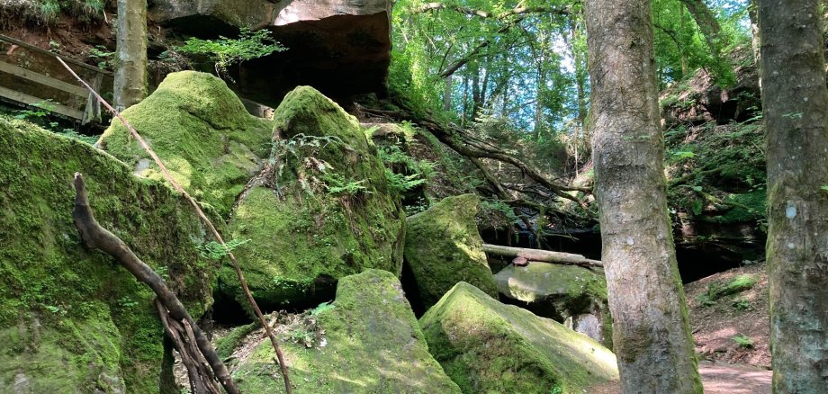 Wasserschaupfad Herschberg